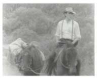 Storyboard reference for EXT. BUSH (KALGOORLIE) - DAY