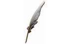 Film Scriptwriting services feather on white background.