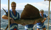 High seas documentary filmmaking for the Samoa Documentary