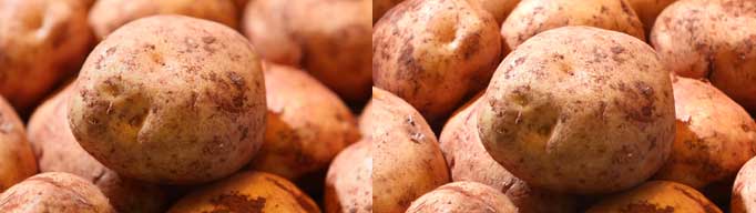 35mm vs 2/3 inch Potatoes compare