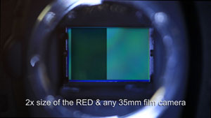 Canon 5DMKII vs RED